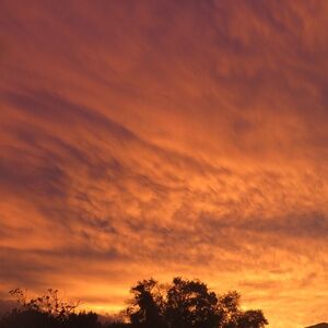 Meet your Posher, Pretty